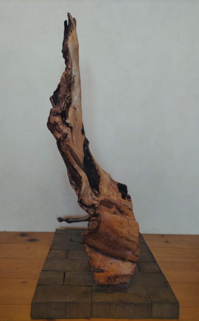 Diese Vielseitigkeit und Vielschichtigkeit macht dieses Werk zu einem zeitlosen Kunstwerk, das den Betrachter immer wieder aufs Neue fasziniert und in seinen Bann zieht. Es ist eine Hommage an die unendliche Kreativität der Natur und eine Erinnerung daran, dass wahre Schönheit oft in den unerwartetsten Formen und Erscheinungen zu finden ist.